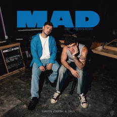 Cover Martin Garrix & Lauv - MAD (Matt Pridgyn Remix)