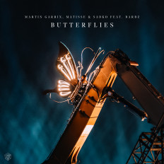 Cover Martin Garrix, Matisse & Sadko feat. BARBZ - Butterflies