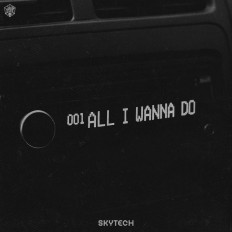 Cover Skytech - All I Wanna Do